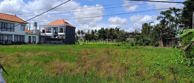 Dijual Tanah Strategis Lokasi Kemenuh Gianyar 1