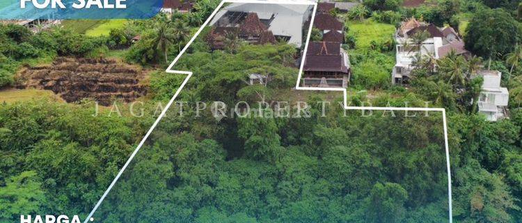 Dijual Tanah Lokasi Ubud 1