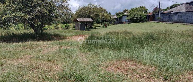 Tanah Luas Dijual Bali - Lokasi Kutuh 1