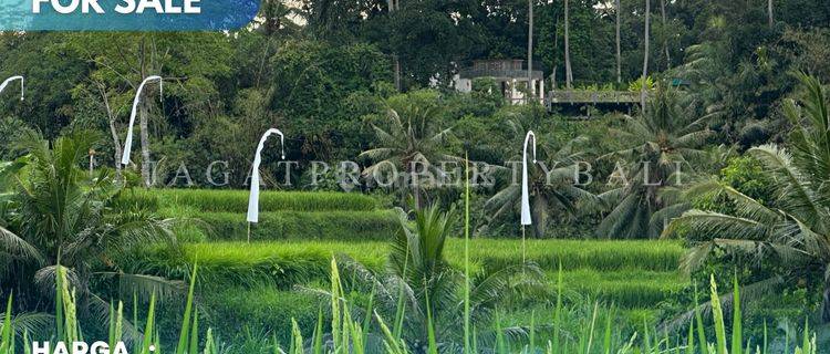 Dijual Tanah Kavling Lokasi Ubud 1