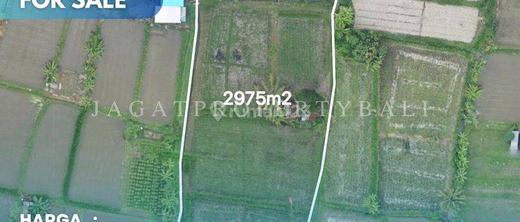 Dijual Tanah Strategis Lokasi Klungkung 1