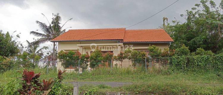 Rumah Baru Selesai Bangun Dijual Bali - Lokasi Selemadeg Tabanan 1