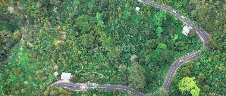 Dijual Tanah Lokasi Buleleng 1