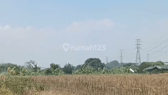 Dijual Tanah Luas Siap Pakai Di Karawang Timur  1