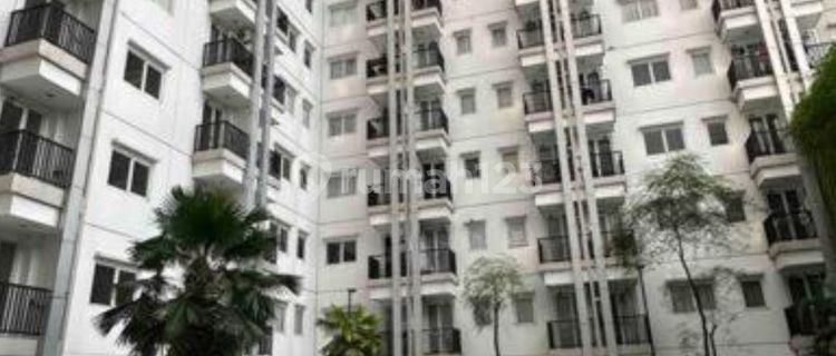 Apartemen Furnished Signature Park Grande Cawang 1
