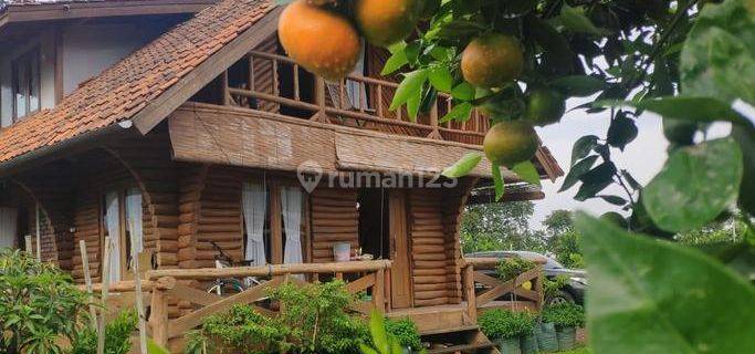 Villa di Cibodas Lembang Bonus Kebun Jeruk, Lemon, Kolam Ikan, Kandang Domba 1