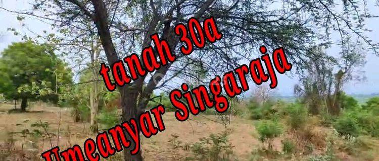 Dijual Tanah Lokasi Di Pinggir Jln Raya Pantai Umeanyar Singaraja Bali Tanah di Jln Pantai Umeanyar Singaraja Bali, Umeanyar SHM - Sertifikat Hak Milik 30 are 1