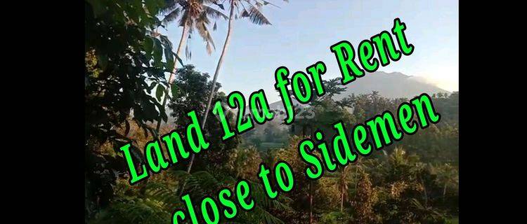 Land For Rent Location Close To Sidemen Traditional Village Bali  1