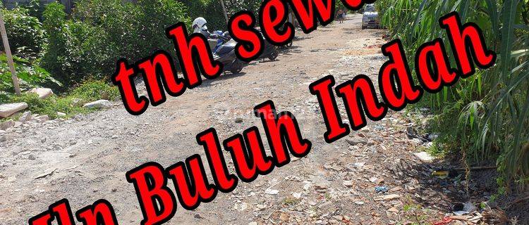 Disewakan Tanah di area Jln Buluh Indah Denpasar Bali Tanah Kontrakan 2 SHM are 1