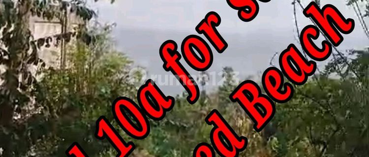 Land Fo Sale Close To Taman Ujung Beach Karangasem Bali  1