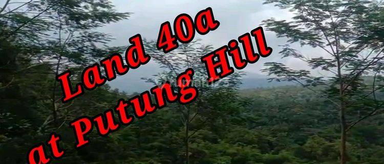 Land For Sale Location At Putung Hill Selat Duda Karangasem Bali Tanah di Jl. Raya Selat, Duda, Kec. Selat, Kabupaten Karangasem, Bali, Duda SHM 4000.0 m² 1