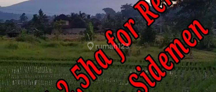 Land For Rent Location Close To Sidemen Traditional Village Bali Tanah di Jln Raya Segah Rendang Karangasem, Sidemen SHM - Sertifikat Hak Milik 2.5 ha 1