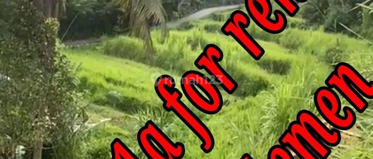 Land For Rent Location At Sidemen Traditional Village Bali  1