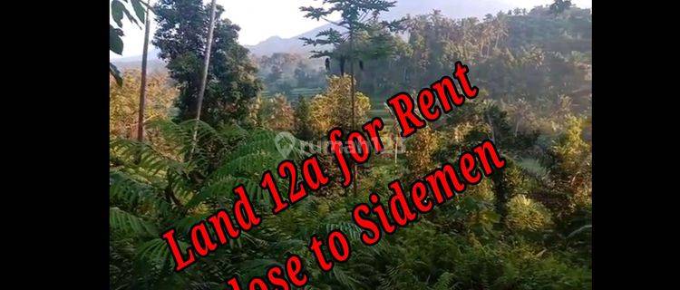 Land For Rent Location Close To Sidemen Traditional Village Bali  1
