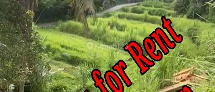 Land For Rent Location At Sidemen Traditional Village Bali  1