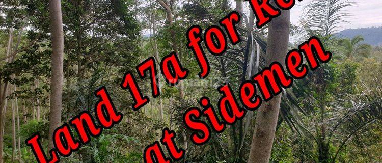 Land For Rent Location At Area Sidemen Traditional Village Bali  1