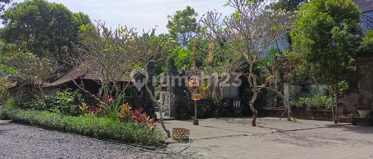 Tanah Langkadi Tamblingan, Sanur. Ke Pantai Jalan Kaki 1