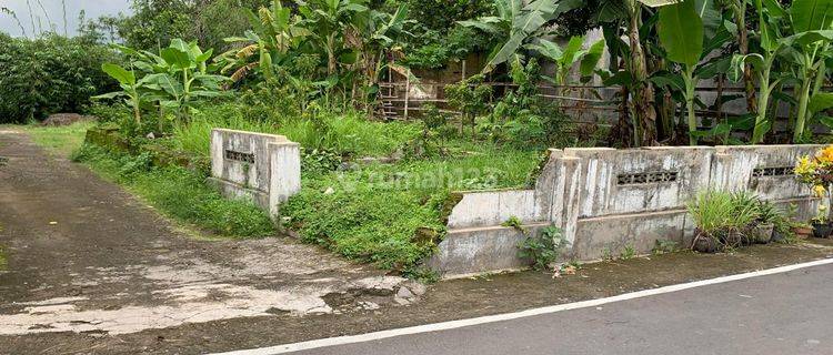 Pekarangan Hook Dekat Pengging  1