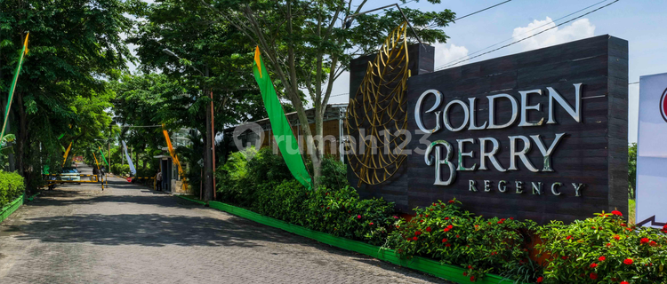 Golden Berry Regency 1