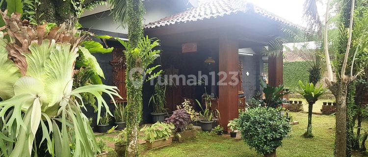 Dijual Cepat! Rumah Estetik di Cikeas Cibubur Bogor dengan Luas Tanah Besar Seperti Villa! Siap Huni! Rumah SHM Bagus di Cikeas 1