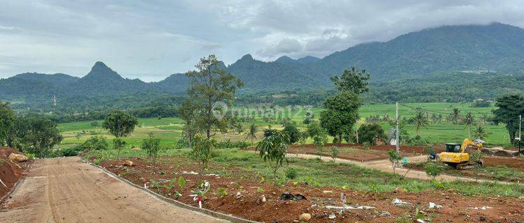 Di Jual Cepat Tanah Murah Dekat Depok Hanya 60 Juta-an / 100m 1