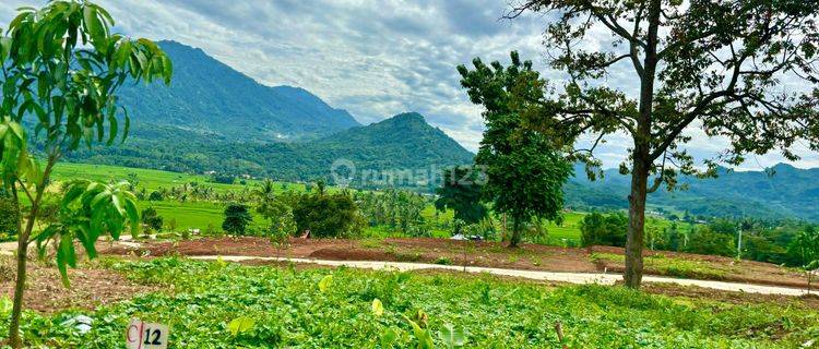 Dijual Cepat Tanah Murah Bebas Banjir Lokasi Dekat Depok Cinere Sawangan Cibubur Jakarta View Pegunungan 1