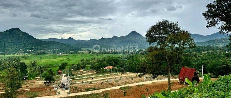 Tanah Murah Di Jual Cepat Lokasi Dekat Depok, Cinere, Sawangan, Cibubur Dan Jakarta 1