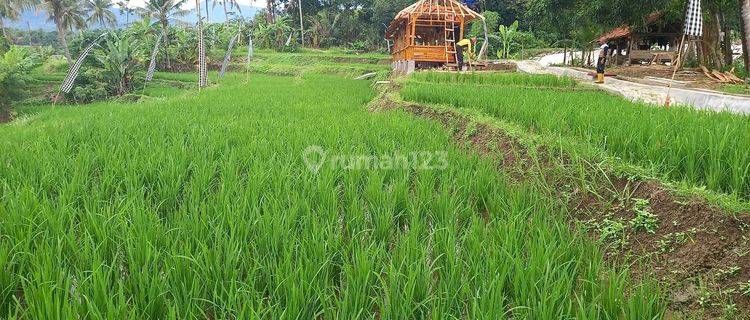 Dijual Tanah Murah Dekat Dari Depok Jakarta Bekasi 1