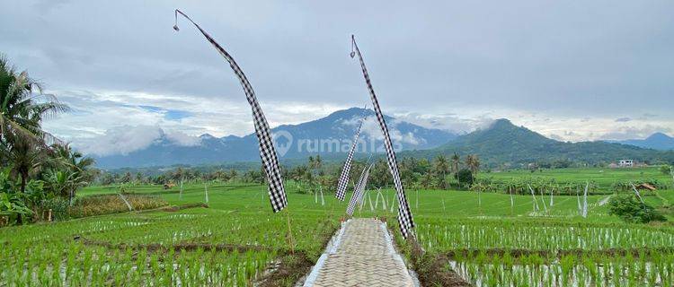 Dijual Tanah Produktif Dekat Dari Depok Jakarta. Bekasih 1