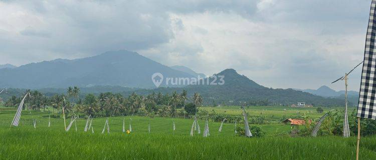 Tanah Dijual Dekat Depok Jakarta Bekasi 1