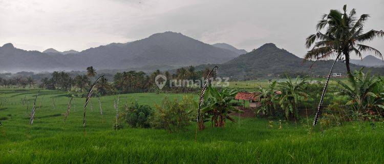 Dijual Cepat Tanah Pinggir Jalan Dekat Dari Jakarta 1