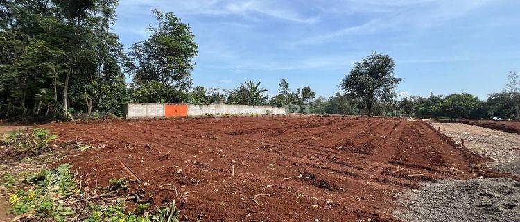 Jual Tanah Murah Nempel Jl Provinsi  Dan Dekat Jakarta 78 Jutaan 1