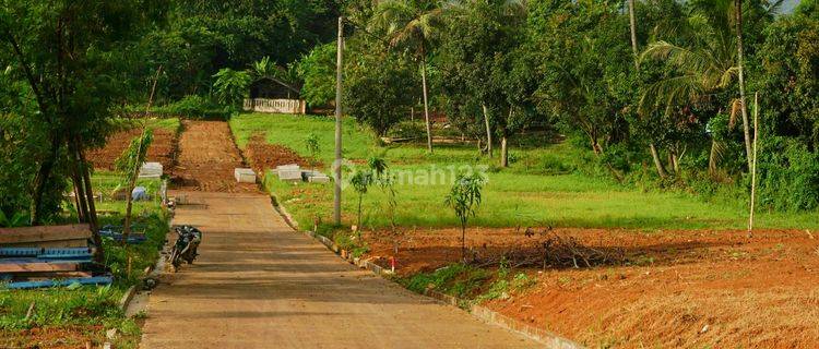 Tanah Ini Menawarkan Lokasi Yang Strategis Nempel Jln Provinsi 1