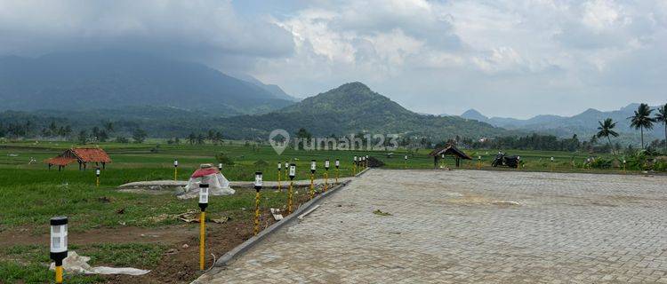 Investasi Tanah Kavling Sawah Murah Nuansa Alam Golden View  1