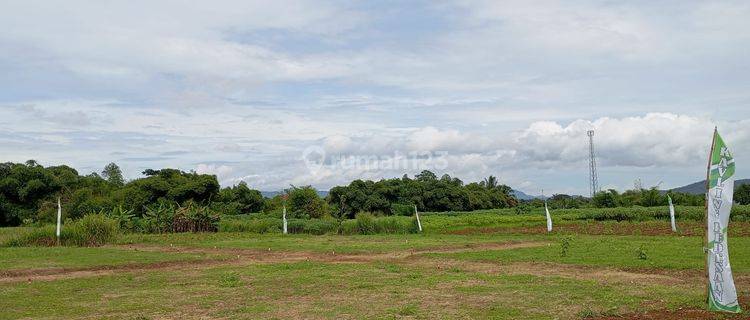 Tanah Kavling 61 Jt-an 72m2, Dekat Kampus IPB 1