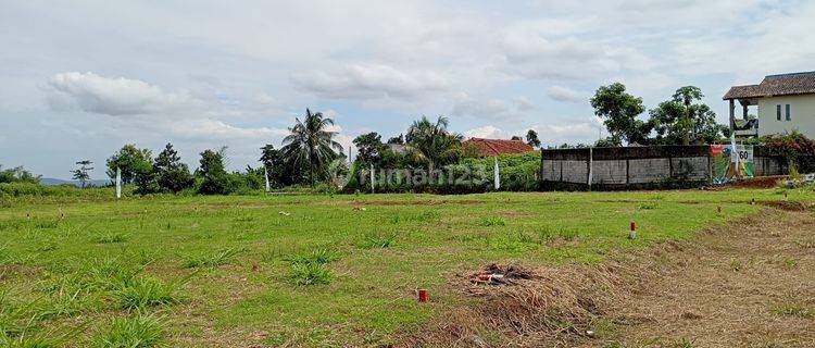 Tanah Kavling SHM di Ciampea Hanya Mulai 65 Jtaan Sudah Siap Bangun 1