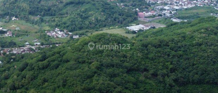 Tanah Bukit Strategis untuk Investasi , Dekat Wisata & Pelabuhan  1