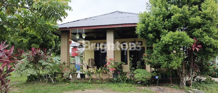 Beautiful House with a Spacious Yard on JL. LAPANGAN TEMBAK MANGGAR, East Balikpapan 1
