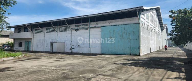 For Rent Gudang Siap Pakai Raya Serang Km 35 Banten Strategis Pinggir Jln Raya 1