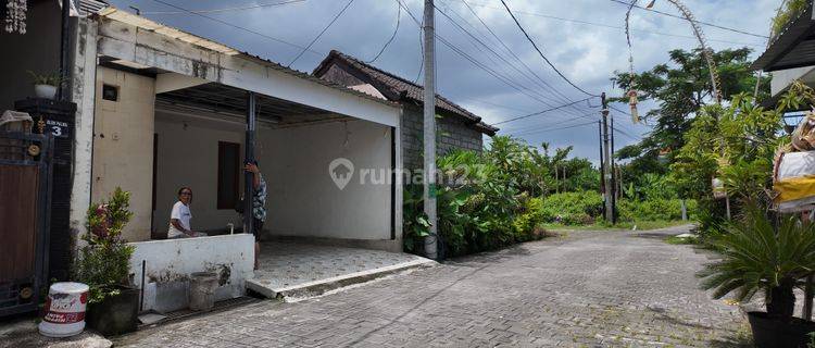 Dijual Rumah Murah Denpasar Harga 650 Juta Saja Kondisi Perlu Renovasi 1