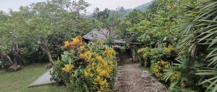 Dijual Villa Di Pedesaan Ciaruteun Bogor Dengan Sumber Mata Air Dan Pemandangan Pedesaan Yang Asri Dan Tenang.cocok Untuk Menghabiskan Masa Pensiun. 1