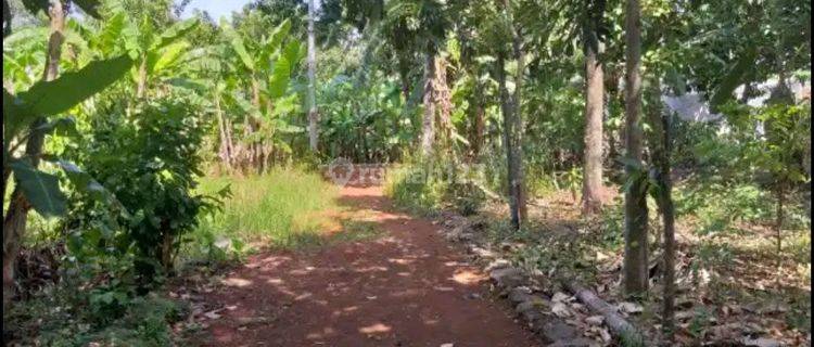 Dijual Cepat Tanah Dengan Lokasi Strategis Di Jatisari Jatiasih 1