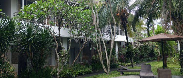 Pazti Clozing Di Jual Hotel Lokasi Lodtunduh Ubud Gianyar 1