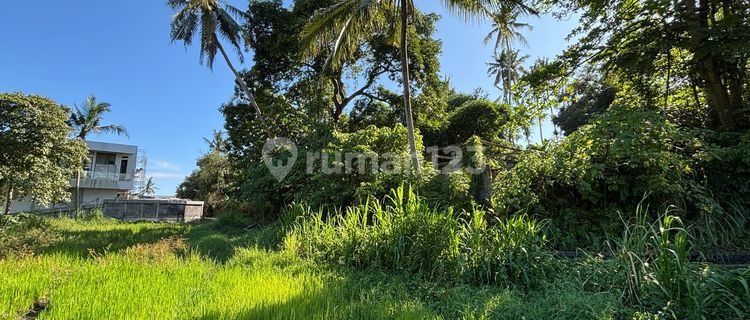 Pasti Closing Di Sewakan Tanah View Sawah Lokasi Singapadu Sukawati Gianyar 1