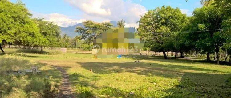 Pasti Closing Di Jual Tanah Loss Pantai View Laut Lokasi Sumberkimia Pemuteran Buleleng 1