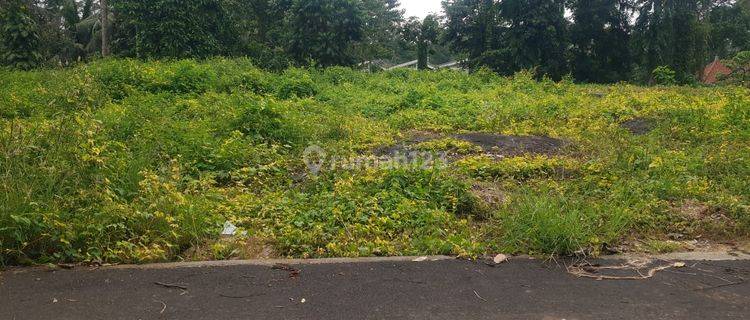 Pasti Closing Di Sewakan Tanah Lokasi Tegallalang Ubud Gianyar 1