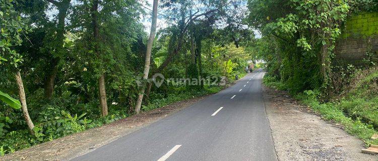 Pasti Cloaing Di Sewakan Tanah Lokasi Nyanyi Beraban Tabanan 1