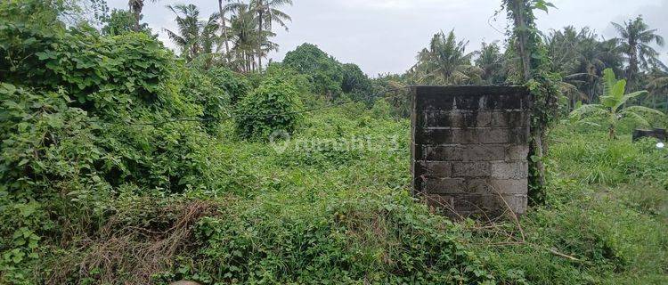 Pasti Closing Di Jual Tanah View Sawah Lokasi Pering Blahbatuh Gianyar 1