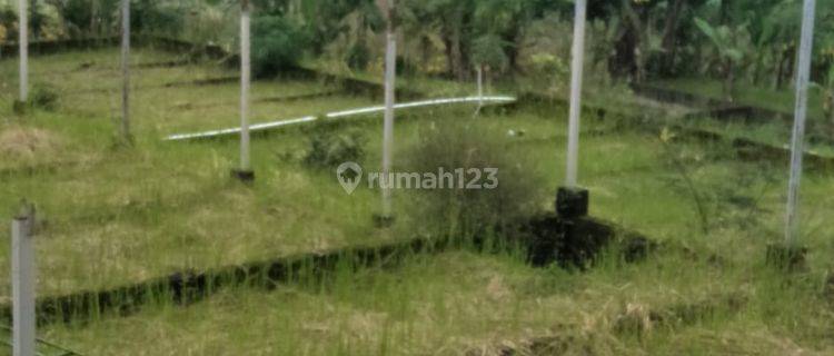 Tanah Murah Pinggir Jalan Utara Desa Taro Ubud 1