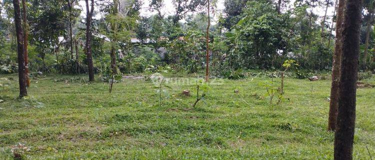 Jual Tanah Luas Dekat Wisata Baturaden Dan Hutan Pinus Limpakuwus 1